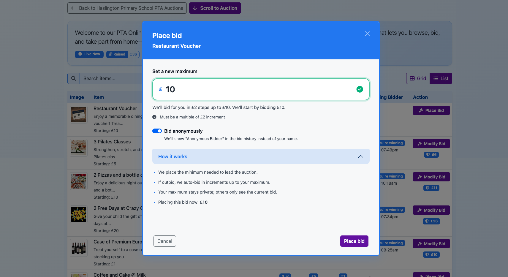 Screenshot of supporters placing bids in Aucly