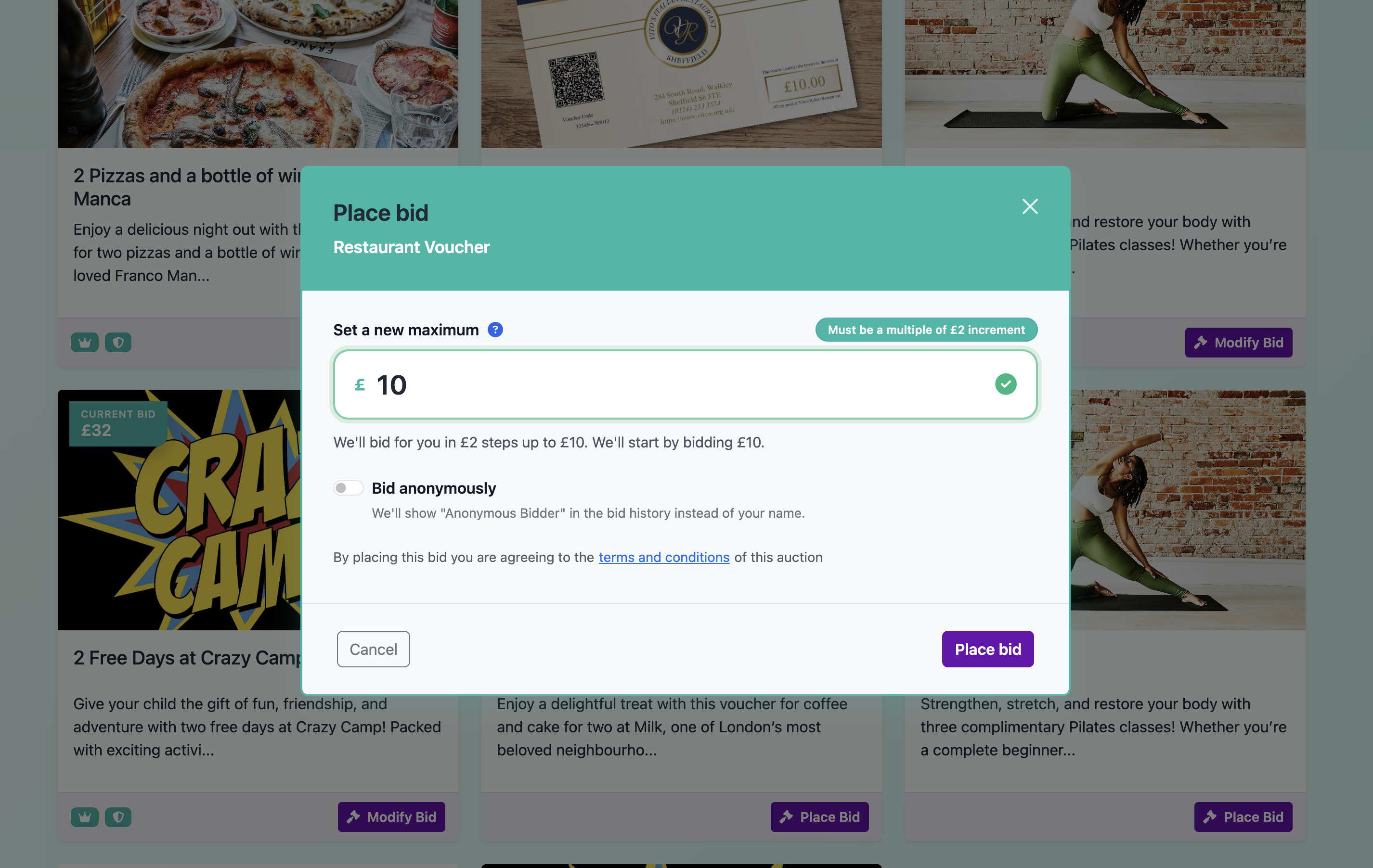 Screenshot of supporters placing bids in Aucly