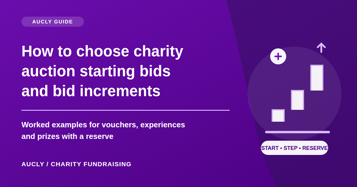 Charity auction starting bids and increments: illustrative bid steps for vouchers, experiences and reserve prices